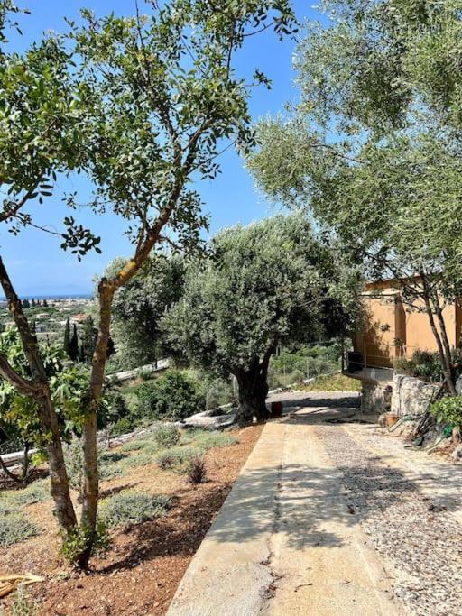 Holiday home Corto Apolpaina